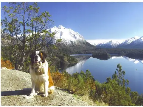 Casa en Alquiler por día en Bariloche