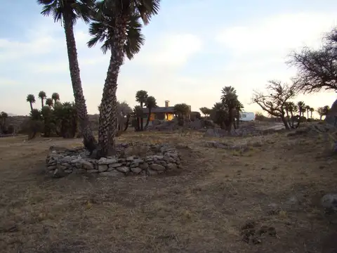 Campo en Venta – Ideal Desarrollo Turístico