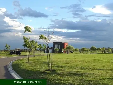 Libertad 300