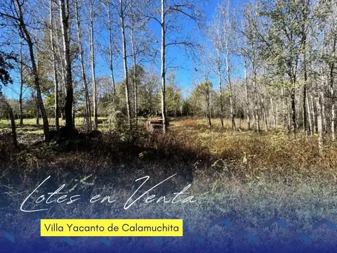 EN VENTA – LOTES EN VILLA YACANTO DE CALAMUCHITA