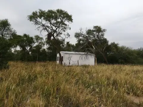 alquiler campo Cazares (Santiago del Estero) 250-330 hectáreas para siembra 481-5308