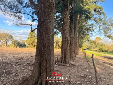 Terreno en Venta de 4382,81 m2