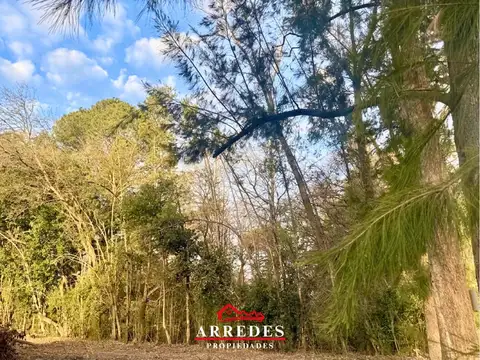 Pre- Venta • Lotes de 4382m2 • Financiación • Los Pinos • Exaltación de la Cruz 100