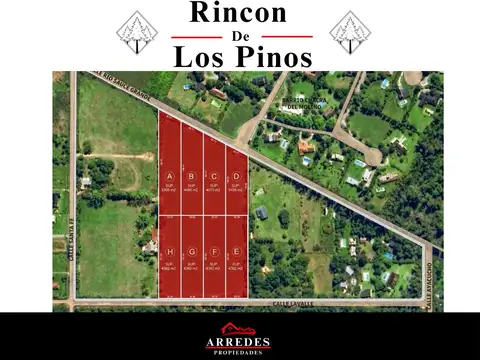 Pre- Venta • Lotes de 4382m2 • Financiación • Los Pinos • Exaltación de la Cruz 100
