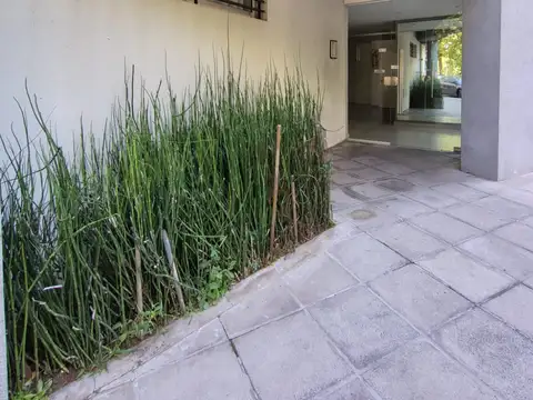 EXCELENTE AMBIENTE LUMINOSO – A 1 CDRA AVENIDA SAN MARTIN - FACULTAD y JARDINES AGRONOMIA