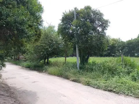 CAMPO CAMINO SAN CARLOS APTO LOTEO- DESARROLLO INMOBILIARIO