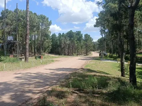 Terreno en Venta de 1297,0 m2