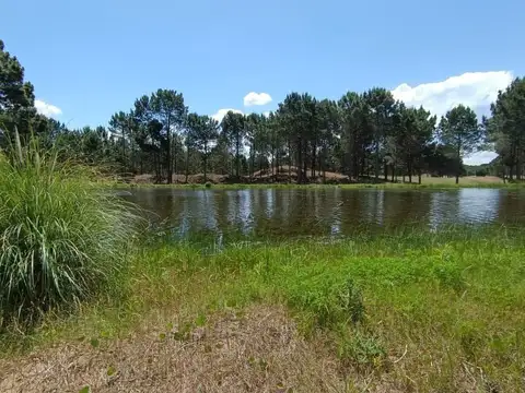 Terreno en Venta en Villarobles, USD 124.000