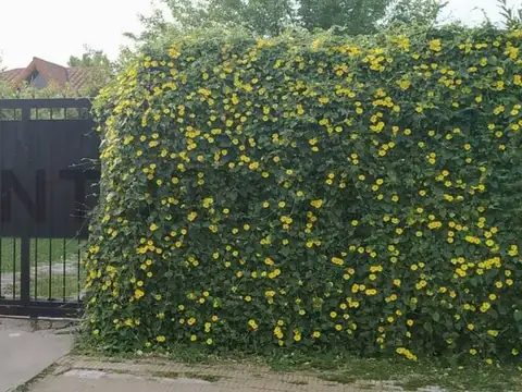 VENTA DE LOTE EN CENTRO DE ITUZAINGO, IDEAL EMPRENDIMIENTO E