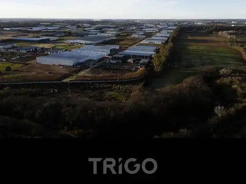 Terreno en Venta de 33800,0 m2