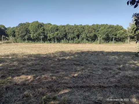 Excelente lote Pueblo Andino Arbolado ESCRITURABLE