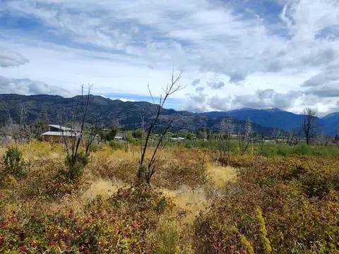 Camino Los Ñires 700