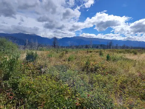 Camino Los Ñires 700