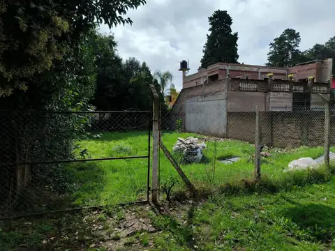 Humaita 100