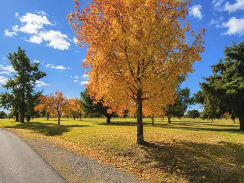 Terreno en Venta de 1001,0 m2