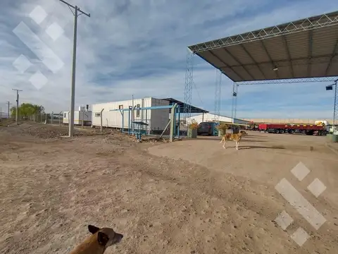 Galpon en Alquiler A Estrenar
