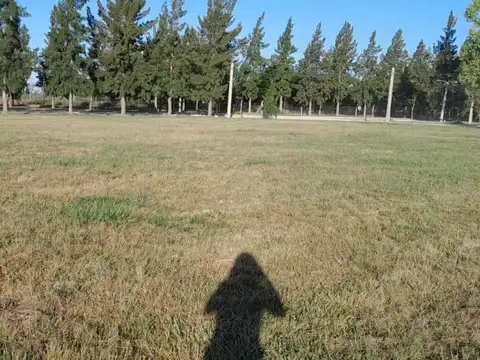 Terreno en Venta 45  mts Frente