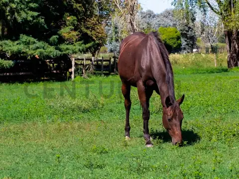 Casa en Venta en El Argentino Farm Club, USD 650.000