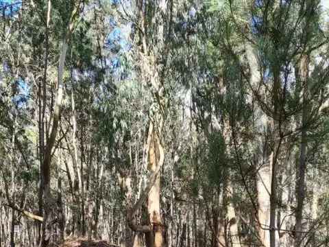 Terreno en Venta de 1200,0 m2