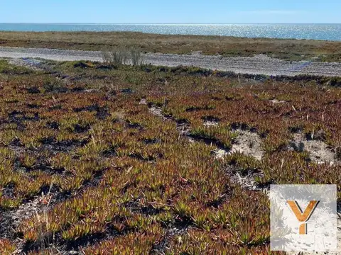 Terreno en venta - 1649mts2 - Bahía San Blas