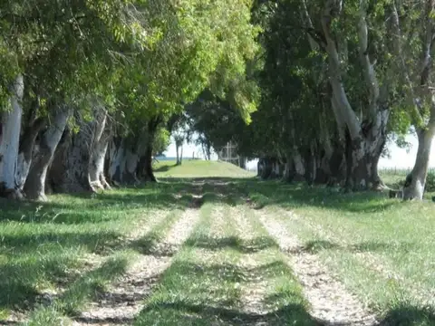 VENTA TERRENO - AMARYLIS COUNTRY CLUB