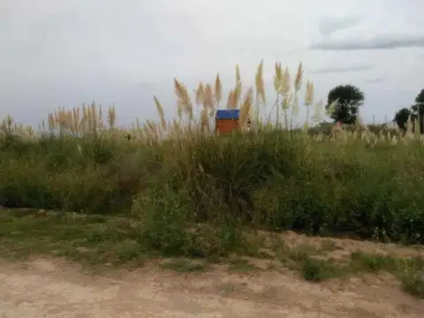 Tucumán y Tres Arroyos