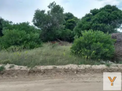 Terreno en Venta en Coronel Dorrego, USD 32.000