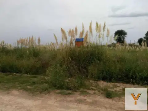 Tucumán y Tres Arroyos