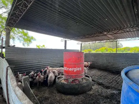 Terreno en Venta en Tamangueyu, USD 175.000