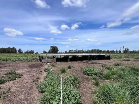 Terreno en Venta de 33333,0 m2