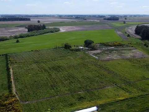 VENTA CAMPO PRODUCTIVO 6 HAS CON CASA RUTA 227