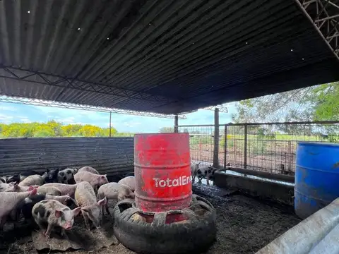 Terreno en Venta en Tamangueyu, USD 175.000