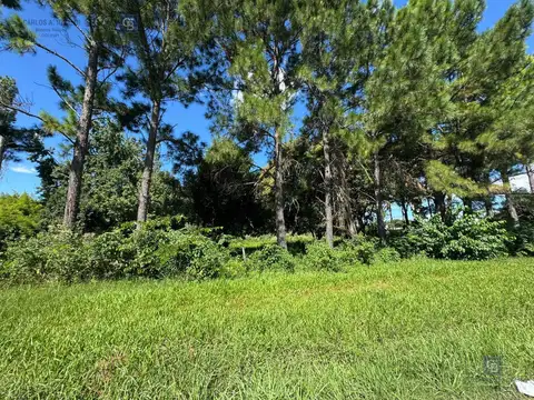 Terreno en Venta 66  mts Frente