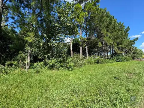MACROLOTE 12000 M2 - MONTE VERA - URBANO