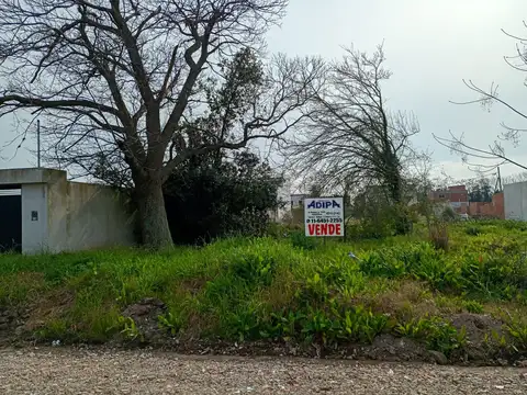Terreno en Venta, FOT 1