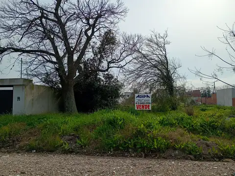 Terreno en Venta 25  mts Fondo