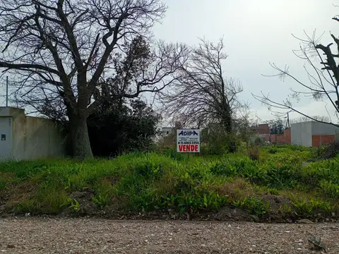 Terreno en Venta 12  mts Frente