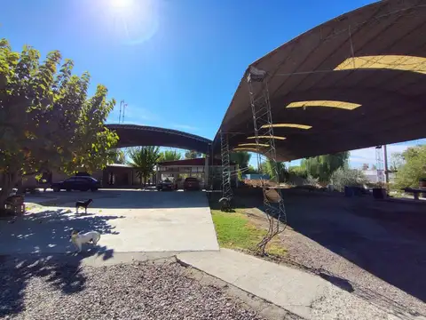 Se vende terreno con tinglados en Maipú, Mendoza