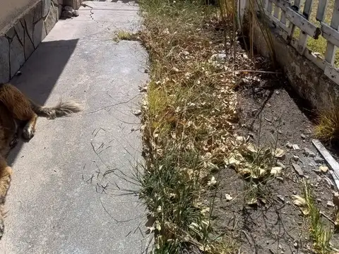 Casa en Venta en Mar del Plata, USD 42.000