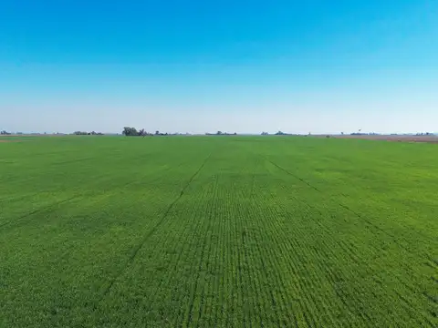 Campo en venta Salto Grande Sant Fe