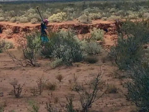 Terreno en Venta de 50000,0 m2