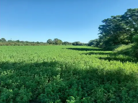 Camino al tramo 22