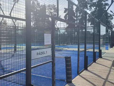 Lote interno Azzurra Tortugas
