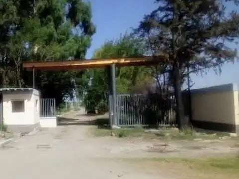 Venta lote 400 m² tupungato el nogal negro rn 40