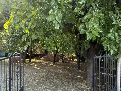 Consultar dirección