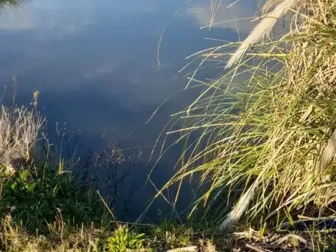 Alquiler de Amplio Terreno en Punta de Rieles