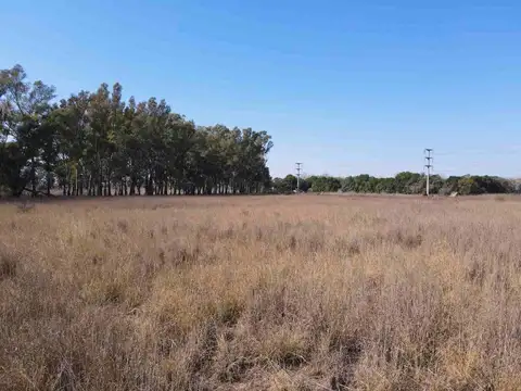 Terreno en Venta de 117240,0 m2