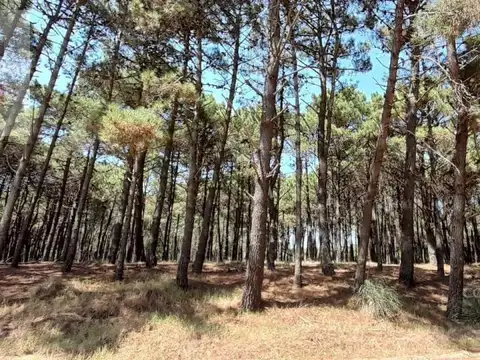 Pinamar  Barrio VILLA ROBLES Ruta 11