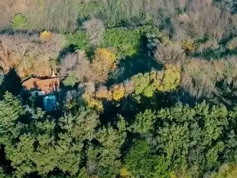 VENTA FRACCIÓN 2 Hect PILAR.,La Lonja, OPORTUNIDAD