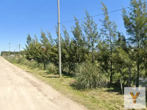 Ricardo Güiraldes y Florencio Sanchez